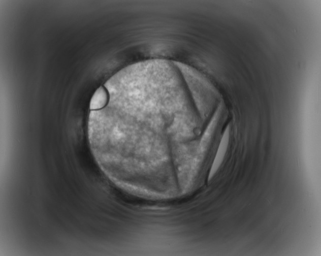 X0000085290506200703301941