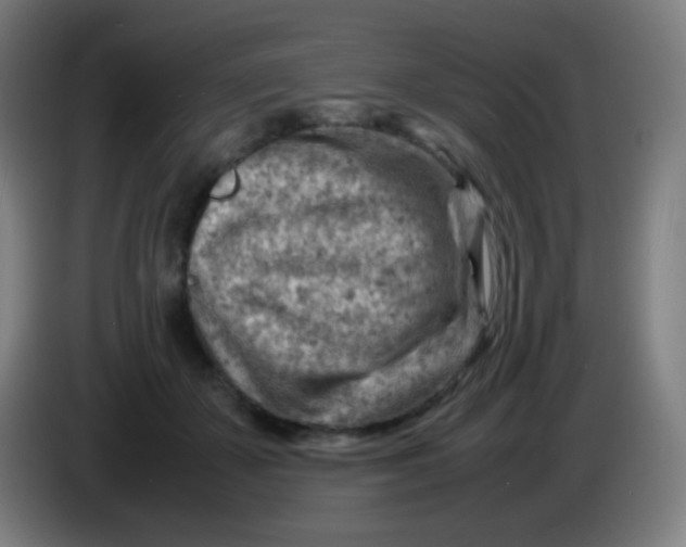 X0000085290507200703301941