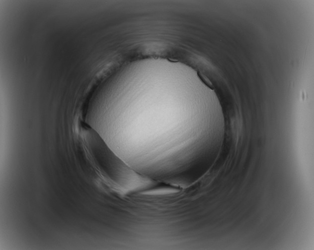 X0000085290508200703301941