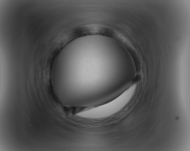 X0000085290509200703301941