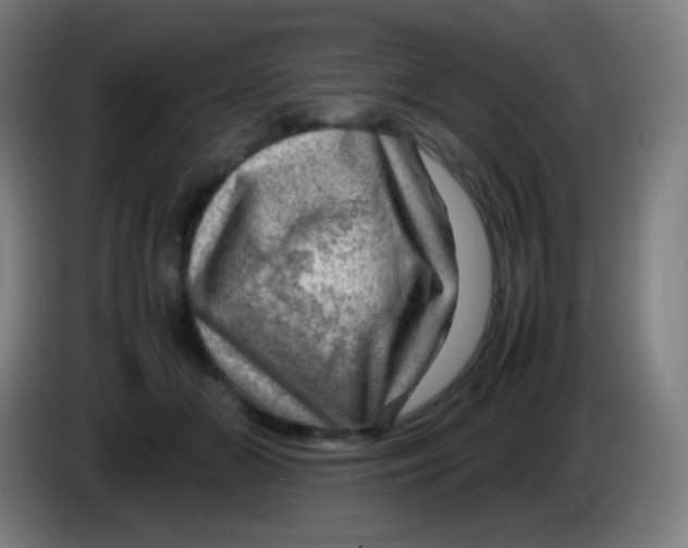 X0000085290510200703301941