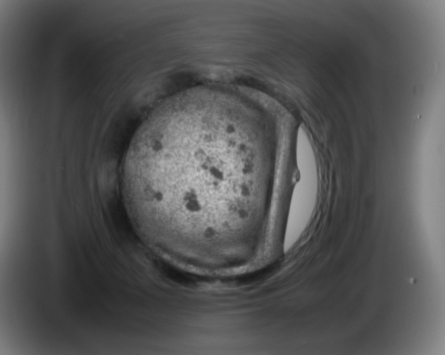 X0000085290511200703301941