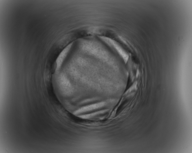 X0000085290513200703301941