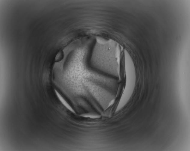 X0000085290514200703301941
