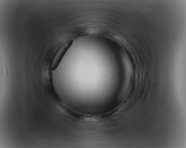 X0000085290516200703301941