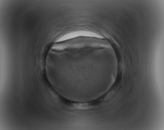 X0000085290517200703301941