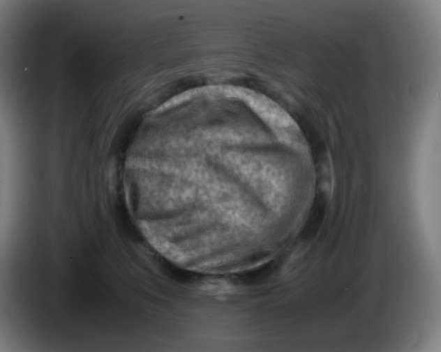 X0000085290519200703301941
