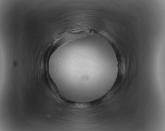 X0000085290520200703301941