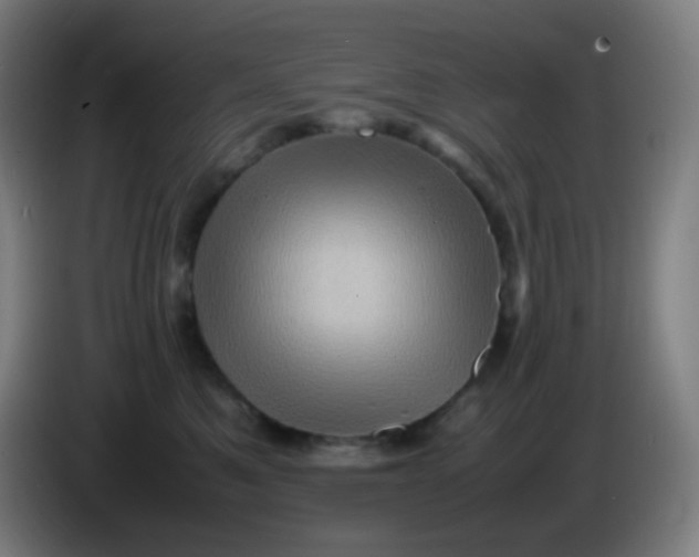 X0000085290521200703301941