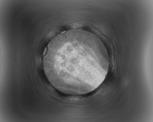 X0000085290523200703301941
