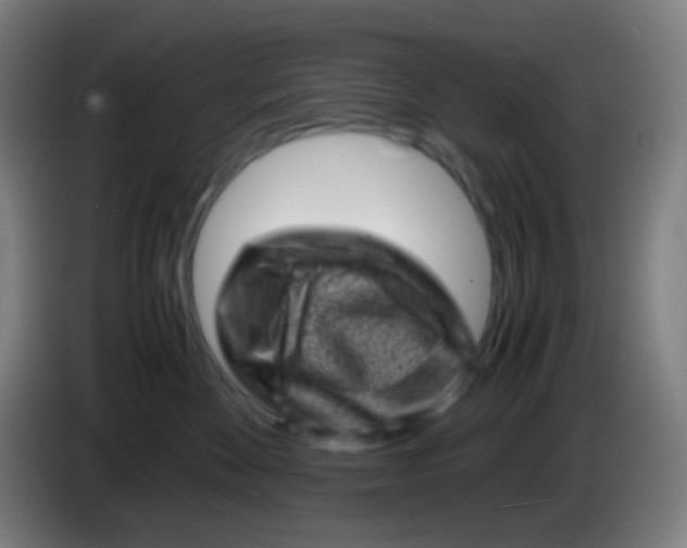 X0000085290524200703301941