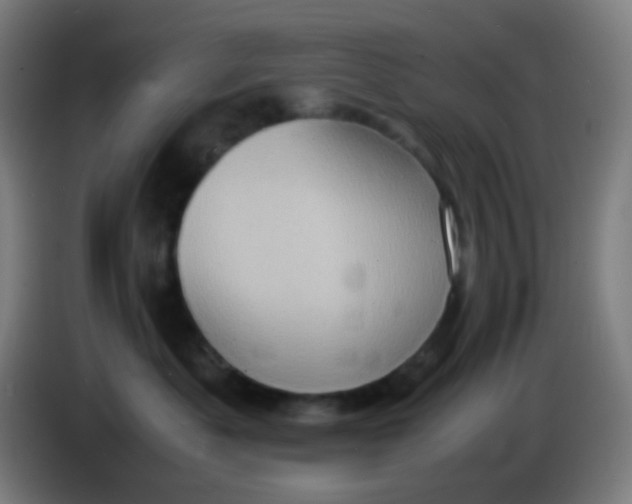 X0000085290525200703301941