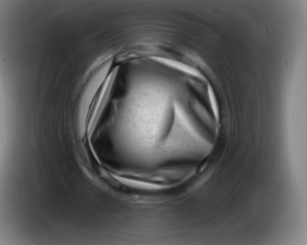 X0000085290530200703301940
