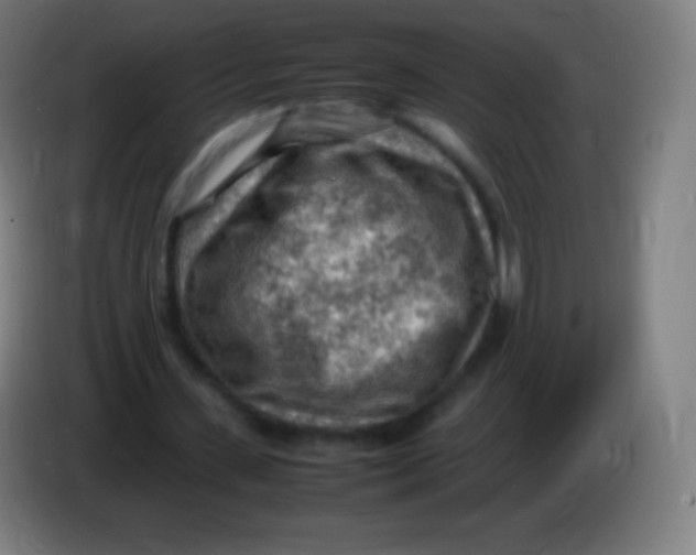 X0000085290531200703301940