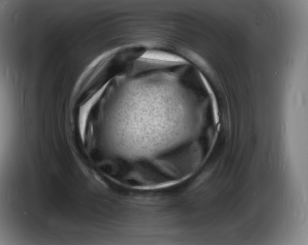 X0000085290532200703301940