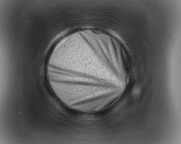 X0000085290535200703301940