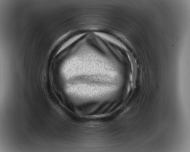 X0000085290536200703301940