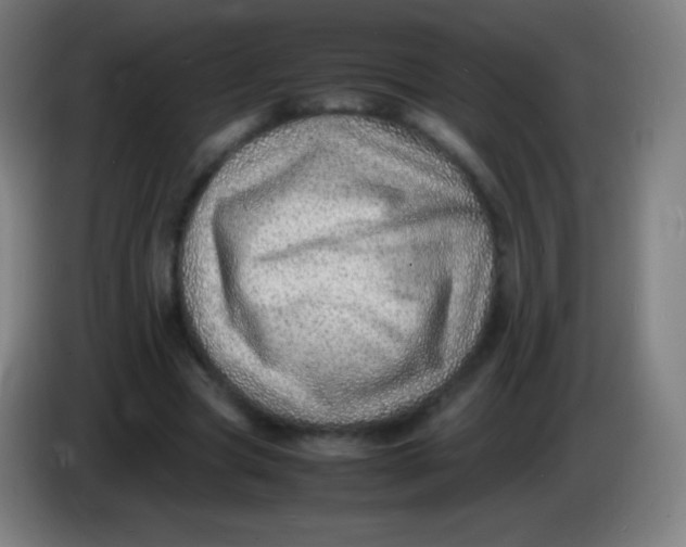 X0000085290537200703301940