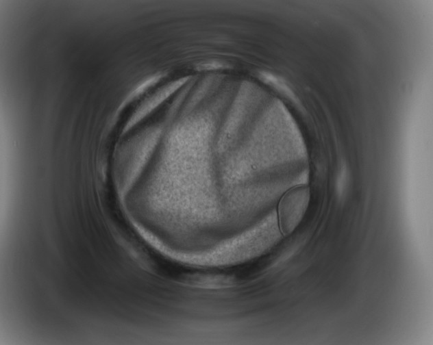 X0000085290539200703301940