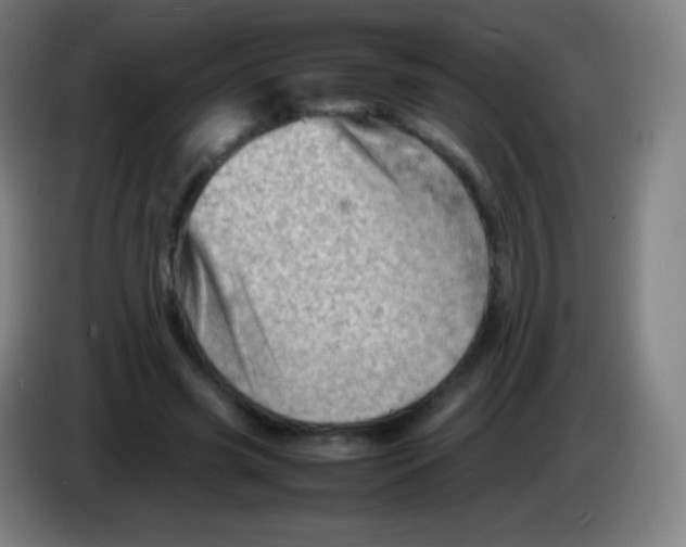 X0000085290541200703301940