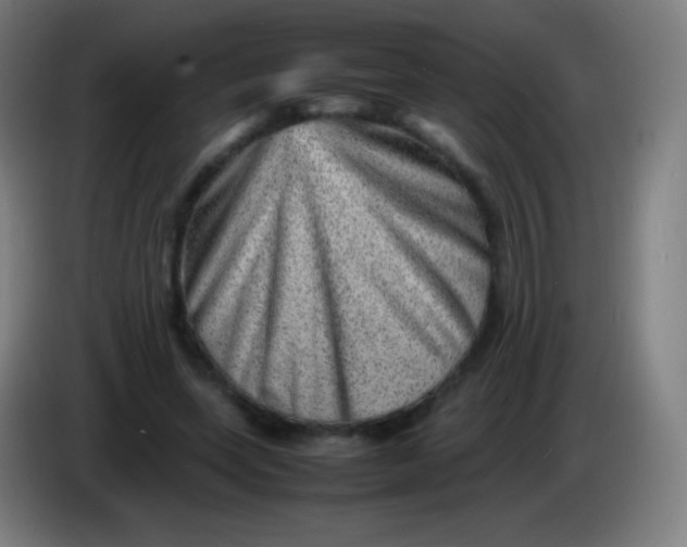 X0000085290543200703301940