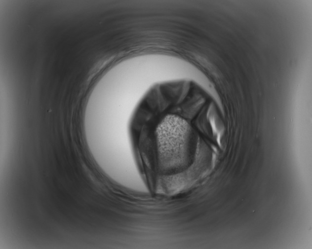 X0000085290544200703301940