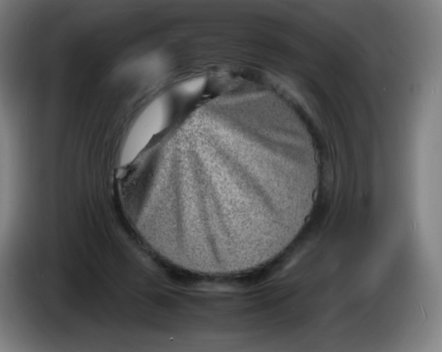 X0000085290545200703301940