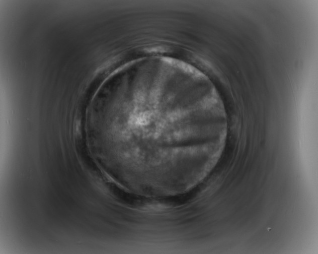 X0000085290547200703301940