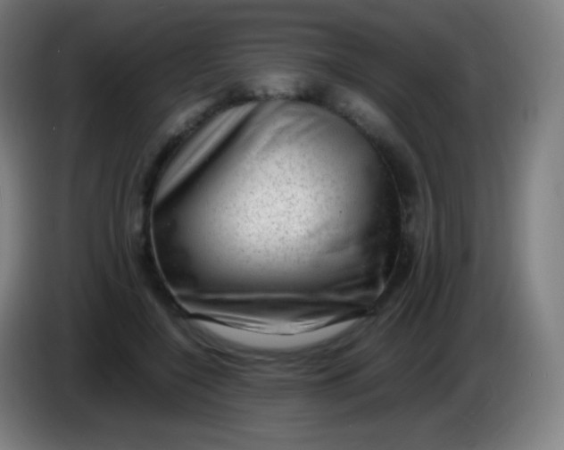 X0000085290548200703301940
