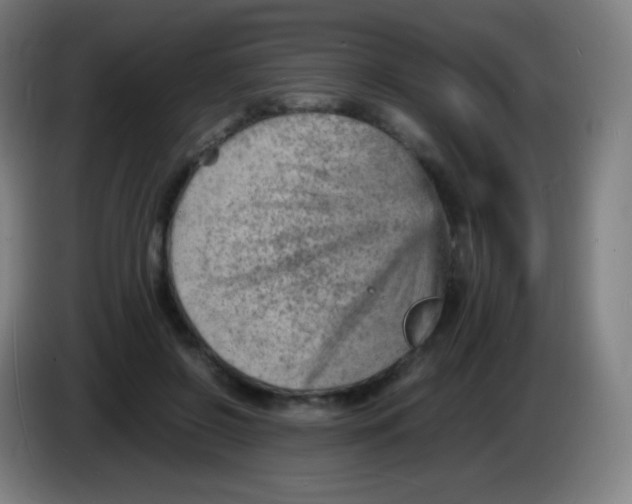 X0000085290550200703301940