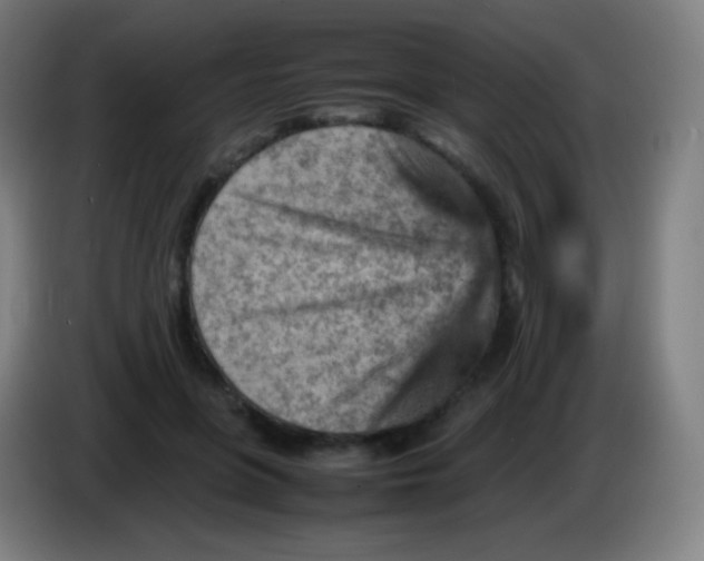 X0000085290551200703301940