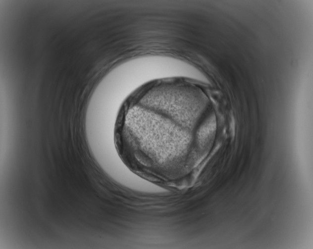 X0000085290552200703301940