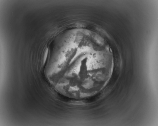 X0000085290553200703301940