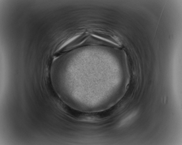 X0000085290555200703301940