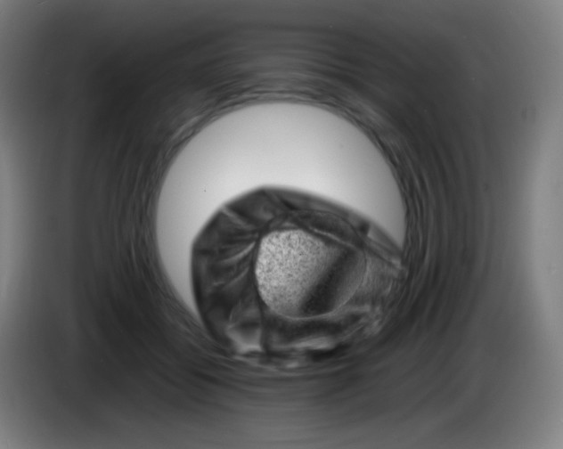 X0000085290556200703301940
