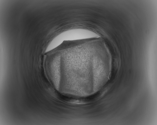 X0000085290557200703301940