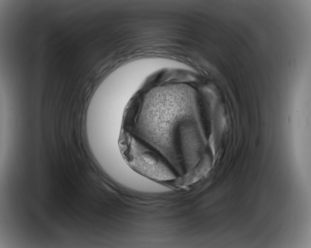X0000085290558200703301940