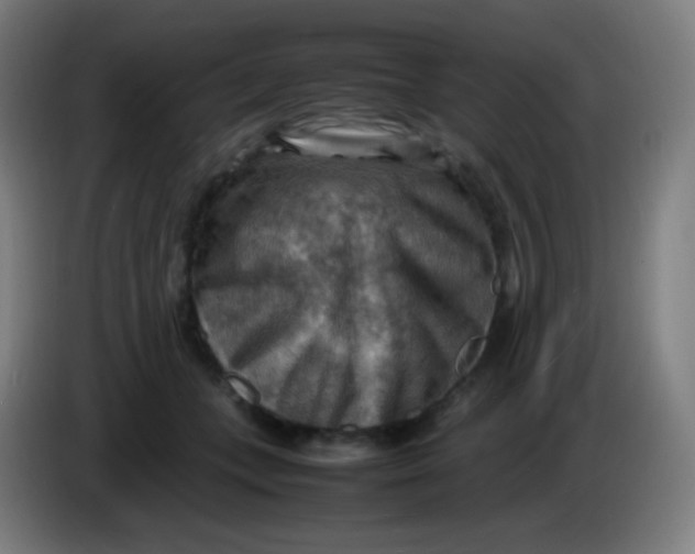 X0000085290559200703301940