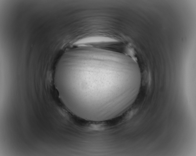 X0000085290560200703301940