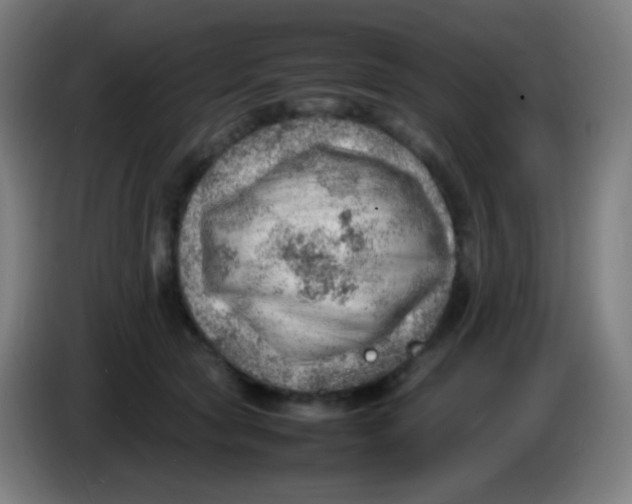 X0000085290561200703301940