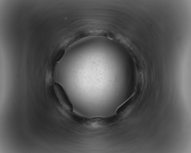 X0000085290564200703301940