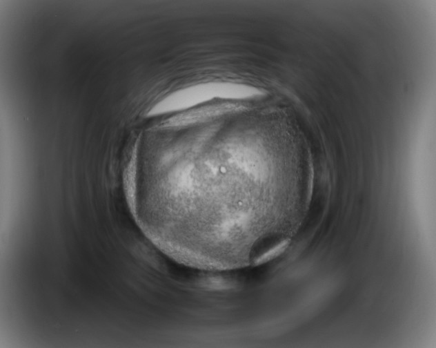 X0000085290565200703301940