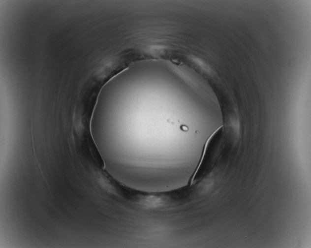 X0000085290566200703301940