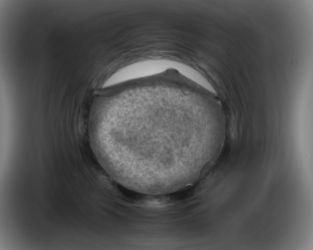 X0000085290569200703301940