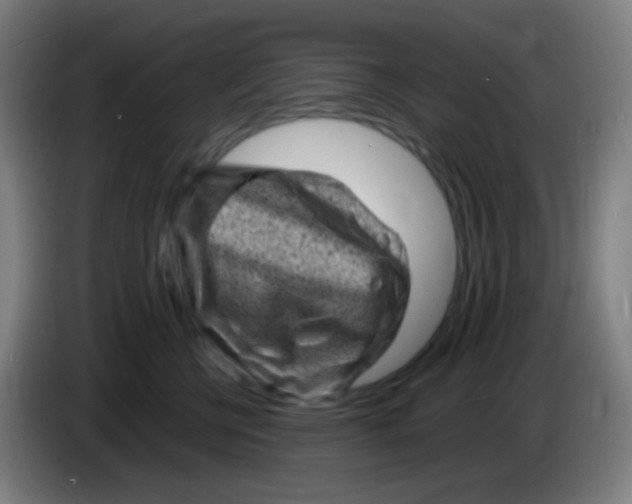 X0000085290570200703301940