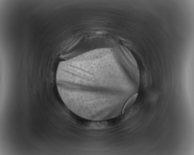 X0000085290571200703301940