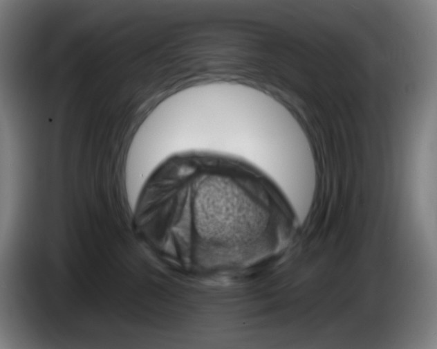 X0000085290572200703301940