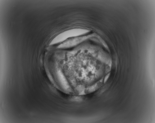 X0000085290573200703301941