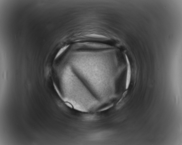 X0000085290574200703301941