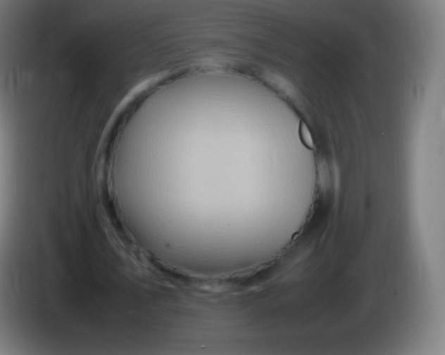 X0000085290579200703301940